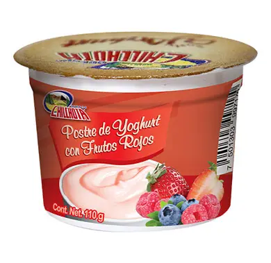 Chilchota - Postre de Yoghurt con Frutos Rojos