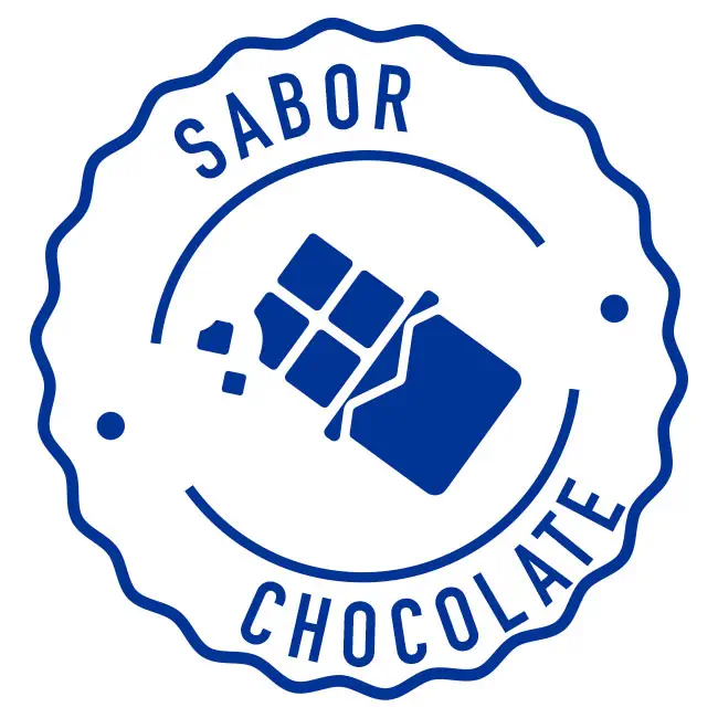 Bebida Láctea Sabor Chocolate 480 ml